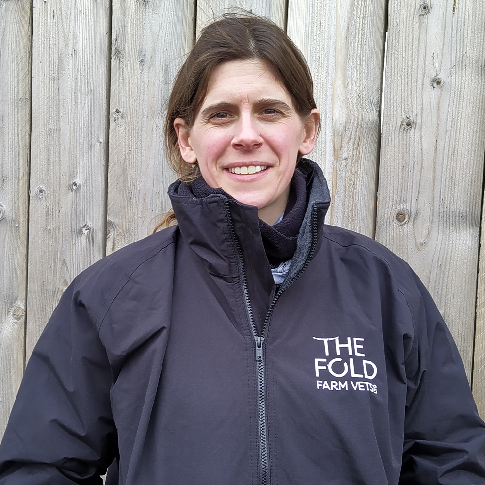 About - THE FOLD FARM VETS